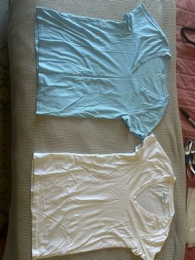 J. Crew Light Slub Cotton Tee Pair - Light Blue and White